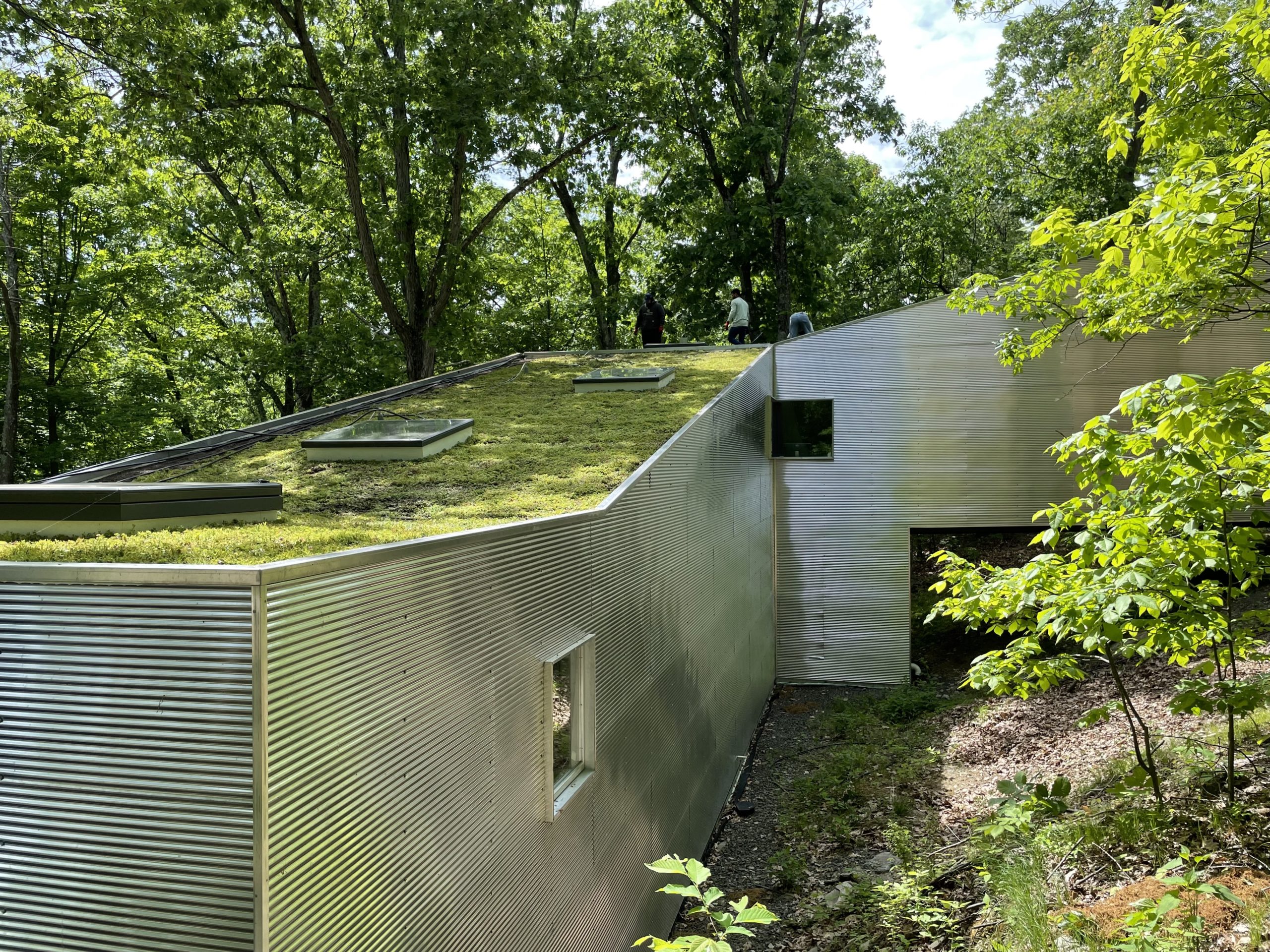 Green Roof installed at the Archive and Research Library in Rhinebeck, NY